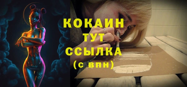 кокс Алексин