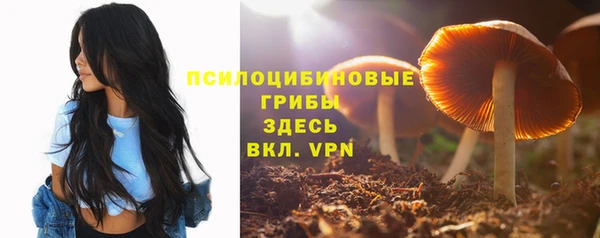 герыч Алзамай