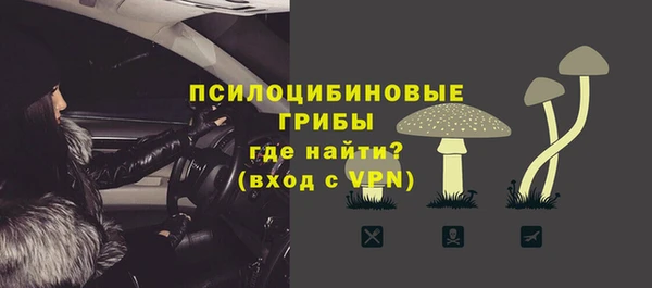 кокс Алексин