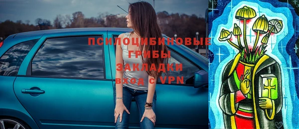 кокс Алексин